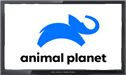 Animal Planet logo