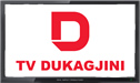 TV Dukagjini logo