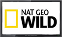 Nat Geo Wild logo