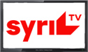 Syri Vision logo