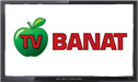 TV Banat logo